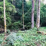 木屋 : Le Moulin Du Sagard