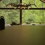: Le Moulin Du Sagard 木屋 *