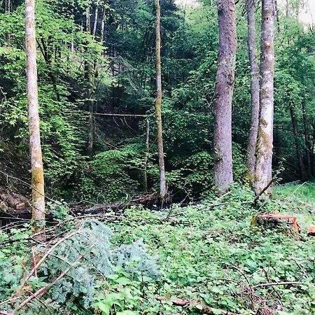 Σαλέ : Le Moulin Du Sagard