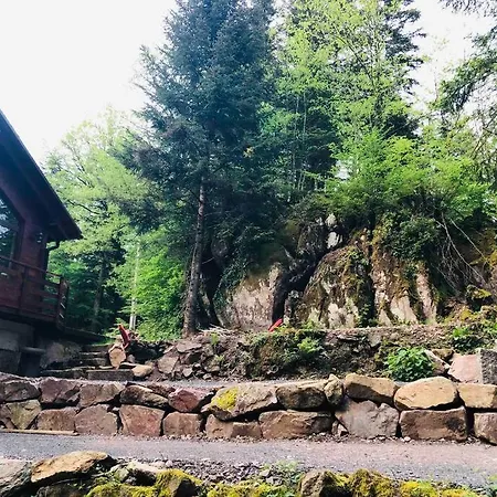 Σαλέ : Le Moulin Du Sagard