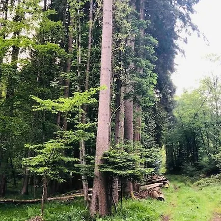 : Le Moulin Du Sagard * Wisches