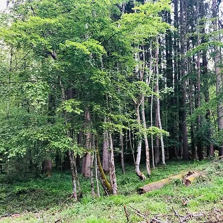 : Le Moulin Du Sagard *