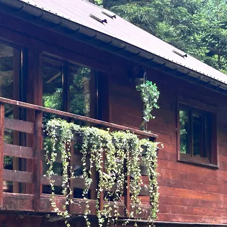 : Le Moulin Du Sagard Wisches