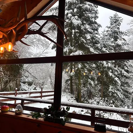 : Le Moulin Du Sagard 木屋 *