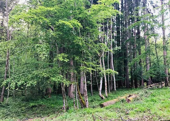 : Le Moulin Du Sagard *